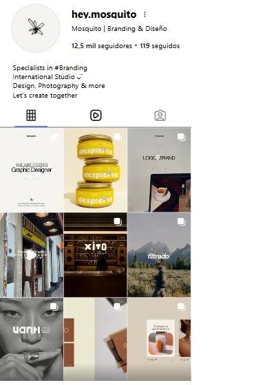Perfil real de Instagram de @hey.mosquito: 12,5 mil seguidores
